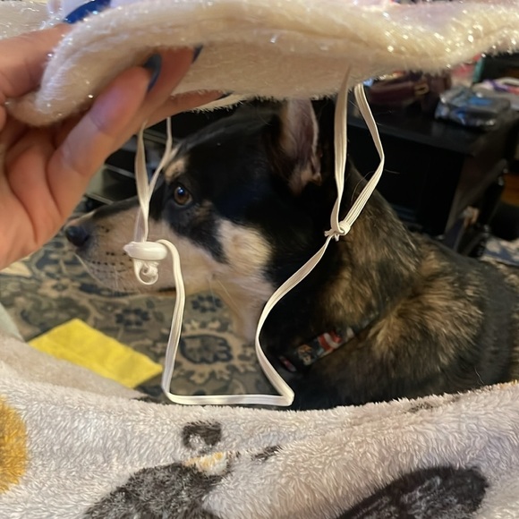 Santa hat for dogs all size - Picture 2 of 2